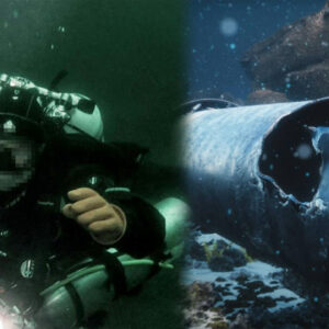 son 70 yilin en buyuk sabotaji arka plani ortaya cikti s6QaH9Wd