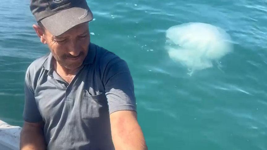 korkutan uyari geldi zehirli kesinlikle temas etmeyin JIefq6vm.jpg