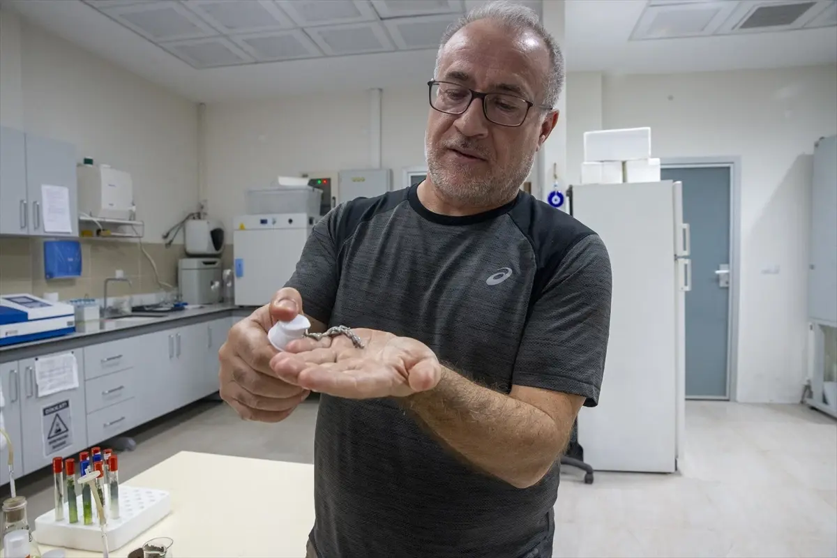 turk akademisyenler murekkep baligindan cilt onarici ve koruyucu gunes kremi uretti WI26QI8V.jpg