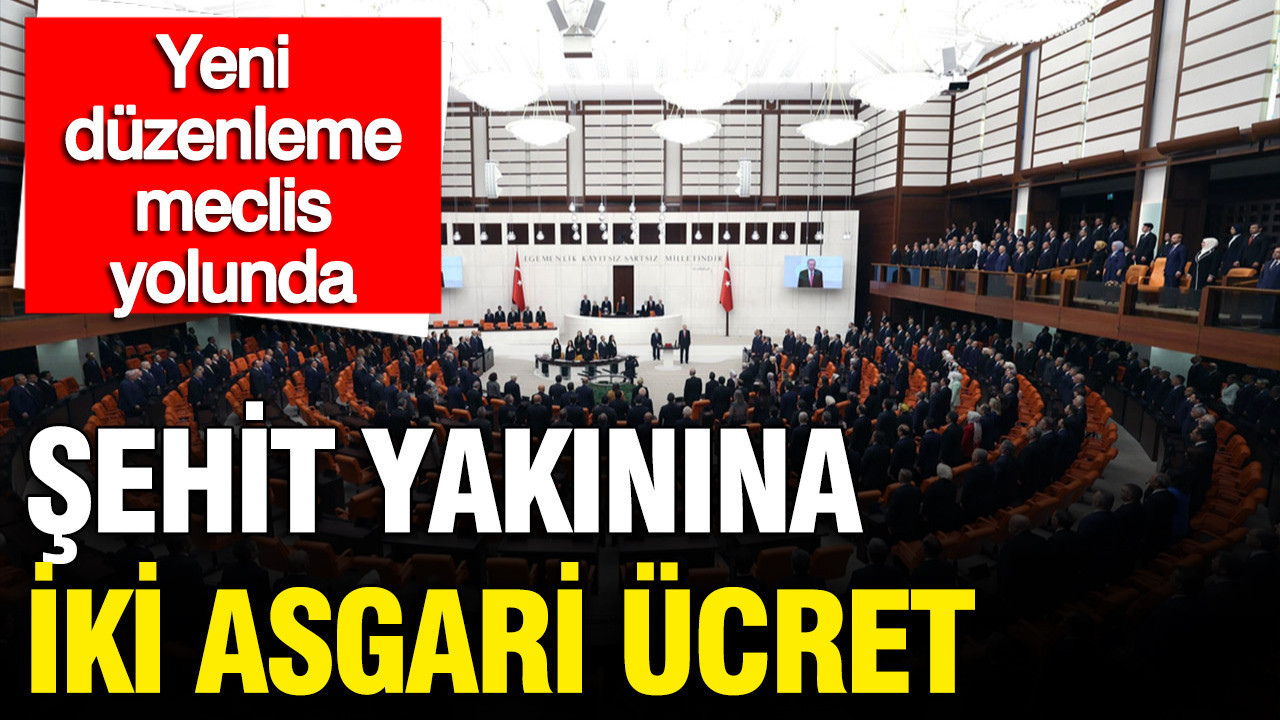 sehit-yakinlari-ve-gazilere-yeni-duzenleme-tbmm-yolunda-iki-asgari-ucret-onursal-kimlik-QcAX7U4L
