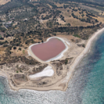 Turkiyede sadece bir bolgede var bu sabah tamamen pembe renge burundu y47KrT1W